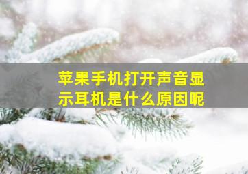 苹果手机打开声音显示耳机是什么原因呢