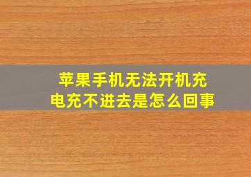 苹果手机无法开机充电充不进去是怎么回事