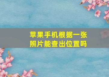 苹果手机根据一张照片能查出位置吗