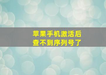 苹果手机激活后查不到序列号了