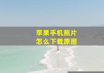 苹果手机照片怎么下载原图