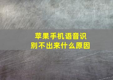 苹果手机语音识别不出来什么原因