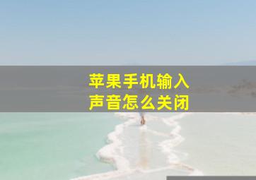 苹果手机输入声音怎么关闭