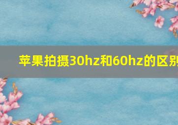 苹果拍摄30hz和60hz的区别