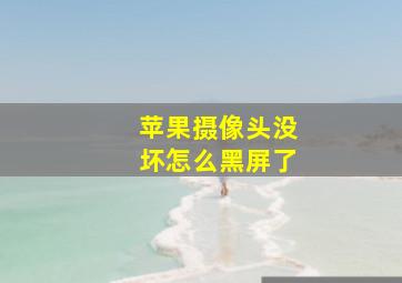 苹果摄像头没坏怎么黑屏了