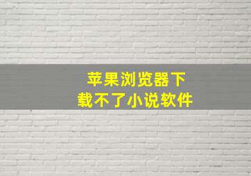 苹果浏览器下载不了小说软件