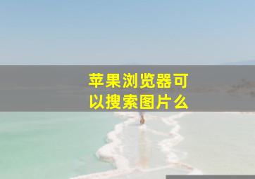 苹果浏览器可以搜索图片么