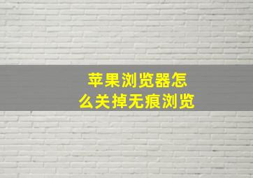 苹果浏览器怎么关掉无痕浏览