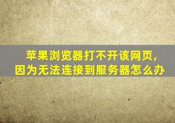 苹果浏览器打不开该网页,因为无法连接到服务器怎么办