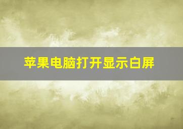 苹果电脑打开显示白屏