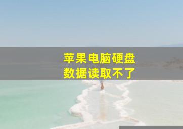 苹果电脑硬盘数据读取不了