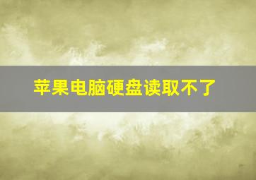 苹果电脑硬盘读取不了