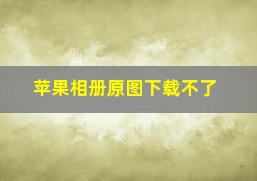 苹果相册原图下载不了