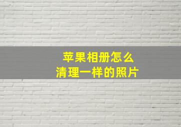 苹果相册怎么清理一样的照片