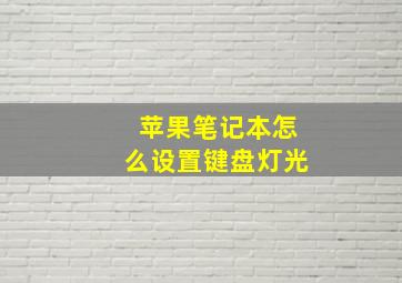 苹果笔记本怎么设置键盘灯光