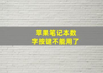 苹果笔记本数字按键不能用了