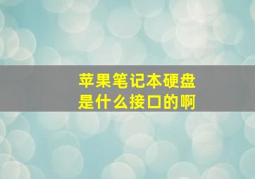 苹果笔记本硬盘是什么接口的啊