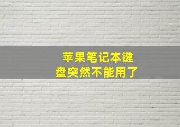 苹果笔记本键盘突然不能用了