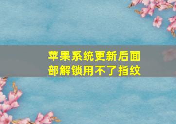 苹果系统更新后面部解锁用不了指纹