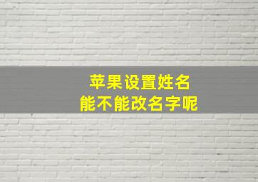 苹果设置姓名能不能改名字呢