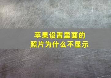 苹果设置里面的照片为什么不显示