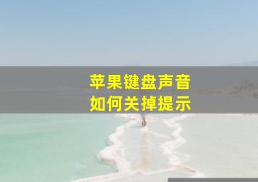 苹果键盘声音如何关掉提示