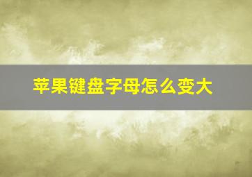 苹果键盘字母怎么变大