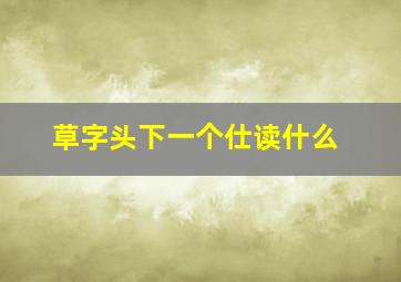 草字头下一个仕读什么