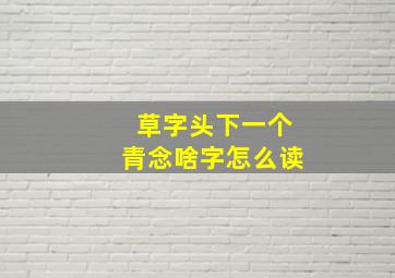 草字头下一个青念啥字怎么读