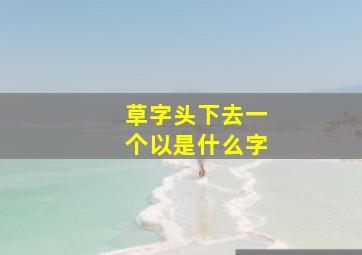 草字头下去一个以是什么字