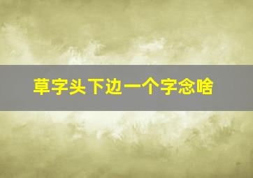 草字头下边一个字念啥