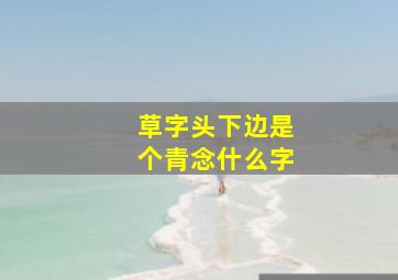 草字头下边是个青念什么字