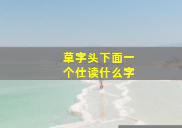 草字头下面一个仕读什么字