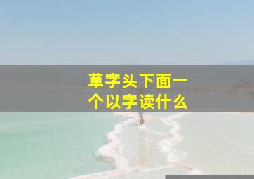 草字头下面一个以字读什么