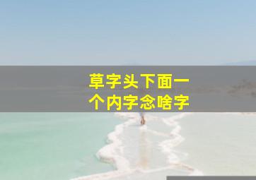 草字头下面一个内字念啥字