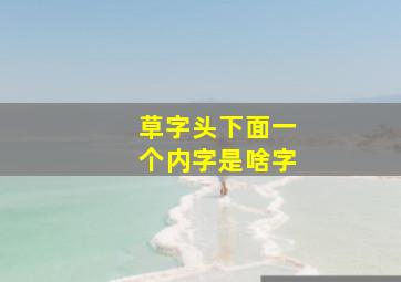 草字头下面一个内字是啥字