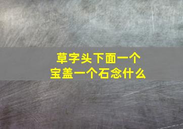 草字头下面一个宝盖一个石念什么