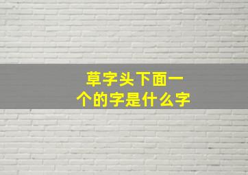 草字头下面一个的字是什么字