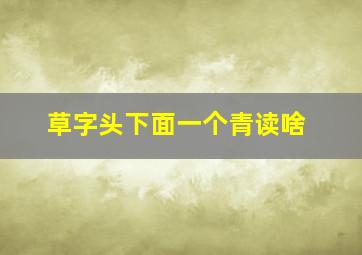 草字头下面一个青读啥