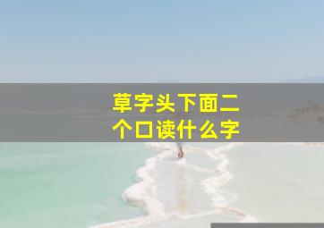 草字头下面二个口读什么字