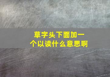 草字头下面加一个以读什么意思啊