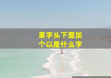 草字头下面加个以是什么字