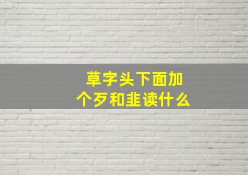 草字头下面加个歹和韭读什么