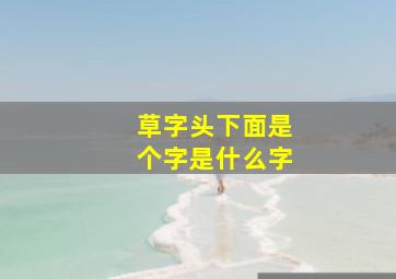 草字头下面是个字是什么字