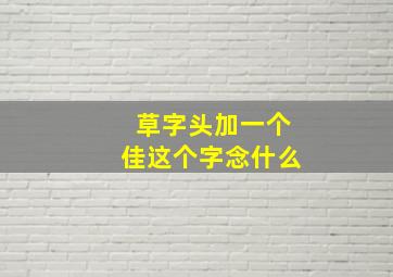 草字头加一个佳这个字念什么