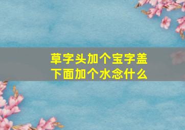 草字头加个宝字盖下面加个水念什么