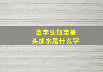 草字头加宝盖头加水是什么字