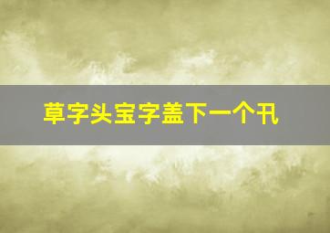 草字头宝字盖下一个卂