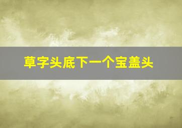 草字头底下一个宝盖头