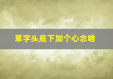 草字头底下加个心念啥